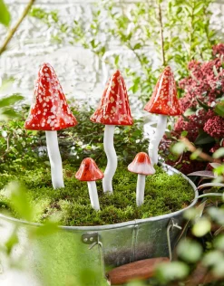 bonprix bpc living bonprix collection Muebles De Exterior·Decoración E Iluminación De Jardín|Decoración De Jardín>Estaca de jardín de setas (5 unidades) Rojo-blanco