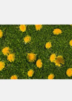 bonprix bpc living bonprix collection Felpudo con estampado de dientes de león