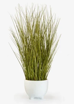 bonprix bonprix Planta artificial en maceta